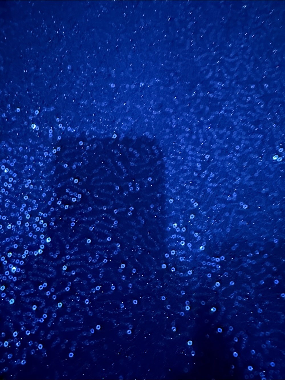 Express Royal Blue Sequin Cami Tank - Picture 4 of 4